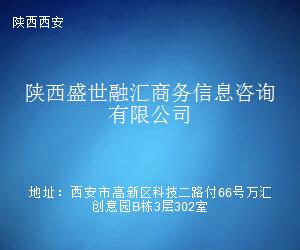 陕西盛世融汇商务信息咨询